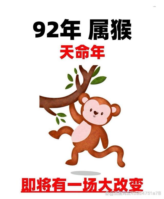 31属什么