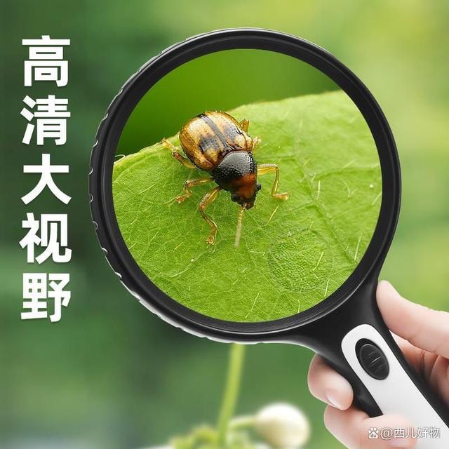 放大镜有什么作用
